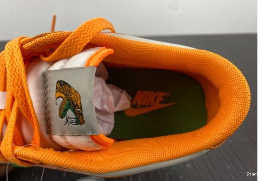 Low A&M University Dunk Nike Florida DR6188-800 1209